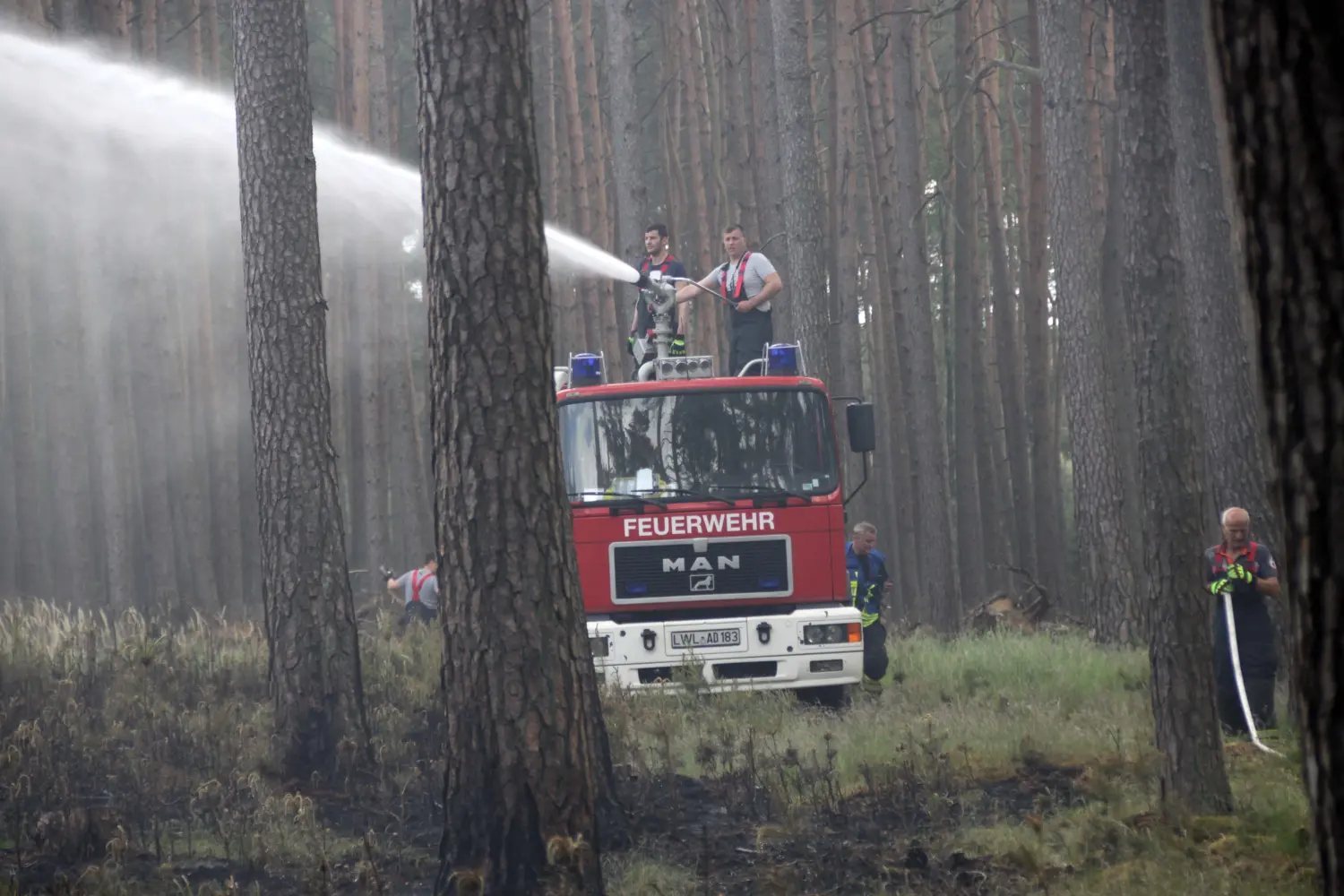 SWM-DV Studio Waldbrand Uelitz Drefin